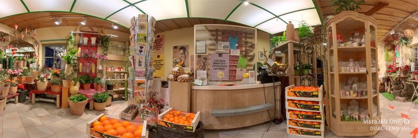 360-Grad-Bild-Blumen-Elisabeth-Isen-design.alpha11.de-1